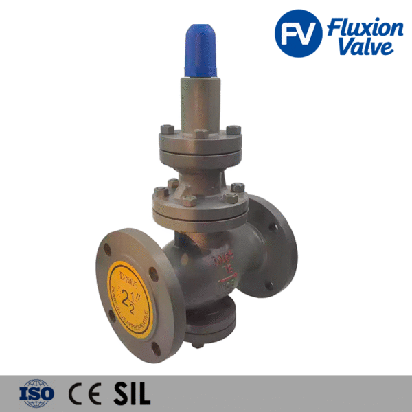 XPS24 Pressure-Reducing Valve | Reliable Steam Pressure Control - Image 2